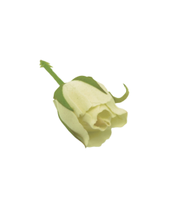 Rosebud Pick Small Cream 2.5cm