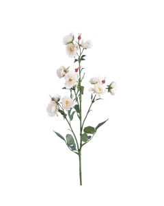ECO Isabella Wild Rose Spray 73cm White