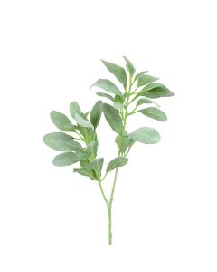 Lambs Ear Spray Grey/Green 71cm