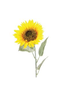 Sunflower 70cm