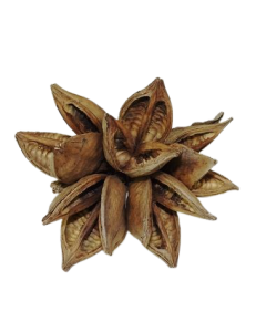 Sororoca Cluster