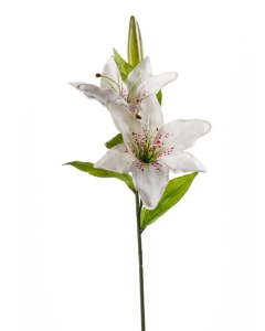Lily Spray x 2 Heads 65cm White