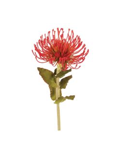 Pin Cushion Protea 66cm Orange