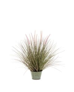 Pennisetum Grass In Zinc Pot 86Cm