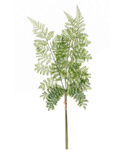 Forest Fern Spray Bundle 58cm
