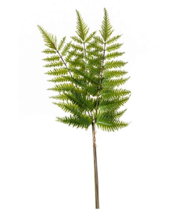 Tree Fern Spray Bundle 58cm
