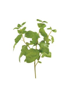 Basil Bunch 39cm