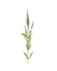 Veronica Spray 72cm Pink