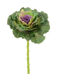 Ornamental Cabbage Spray 46cm Purple/Green