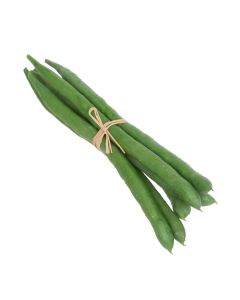 Green Bean Bundle Of 6