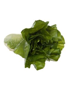 Romaine Lettuce Natural Touch