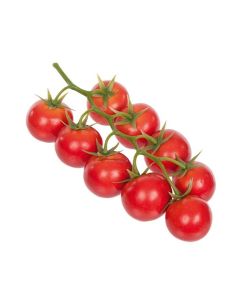 Cherry Tomato On The Vine