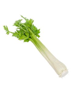 Celery Natural Touch