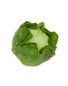 Cabbage Natural Touch