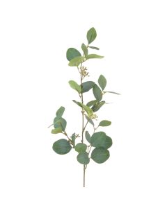 Eucalyptus Spray W/Berries