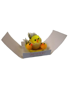 5 x 4cm 3 Mini Chick Nest