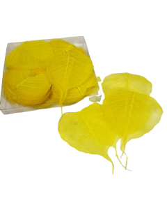 Skeleton Leaves Bleached Yellow X 200