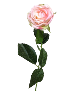 Diamond Rose Light Pink 40cm