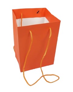 Olympic Bag Orange 25cm 25 x 18 x 18cm