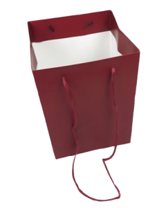 Olympic Bag Dark Red 25cm