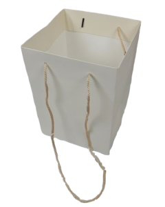 Olympic Bag Ivory 25cm
