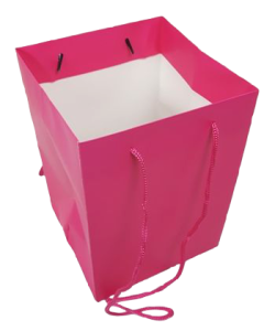 Olympic Bag Cerise 25cm