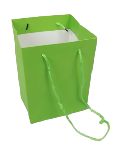 Olympic Bag Lime 25cm