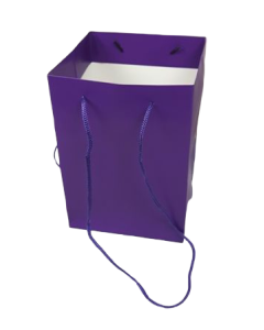 Olympic Bag Purple 25cm