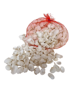 Shell White Chippi Small 1kg