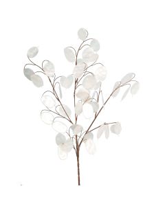 Honesty Spray x 48 Leaves White 76cm