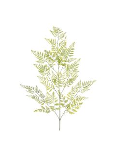 Frosty Fern Spray 130cm