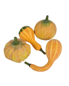 Gourds x 4 Yellow 8 - 12cm