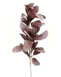Lambs Ear Spray 71cm Dusty Pink