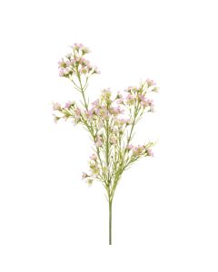 Wintersweet Spray x 3 67cm Pink