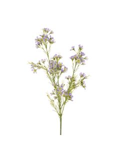 Wintersweet Spray x 3 67cm Lavender