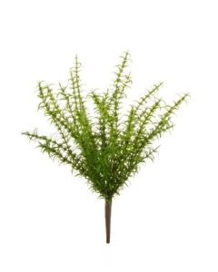 Rosemary Bush 43cm Green