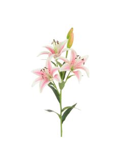 Tiger Lily 82cm Pink