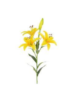 Tiger Lily 82cm Yellow