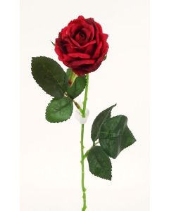 Diamond Rose Red 40cm