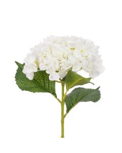 Hydrangea 65cm White