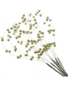 Pearl Loop Cream 12pcs Per Pack