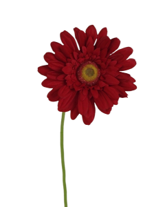 62cm Gerbera Red