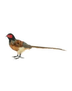 Pheasant 35cm