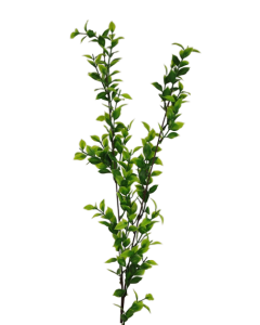 Single Ruscus Spray 90cm