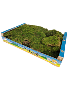 Dried Flat Moss App 1.5kg Best Quality (French)