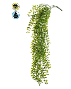 Ficus Pumila Hanging Bush UV 80cm