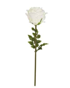 130cm Cream Rosebud Stem