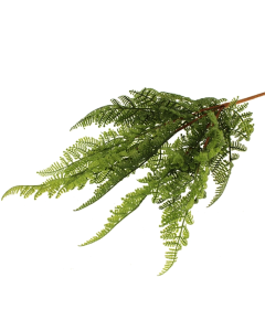 48cm Parsley Fern Green