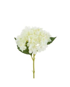Hydrangea Stem White 58cm