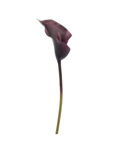 Calla Lily 63cm Aubergine